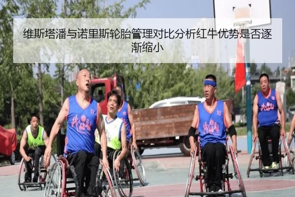 维斯塔潘与诺里斯轮胎管理对比分析红牛优势是否逐渐缩小
