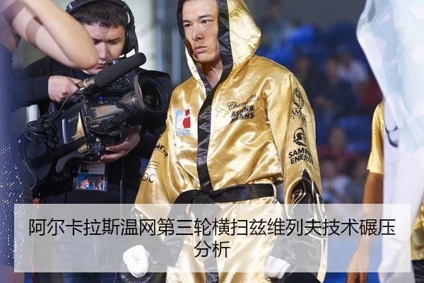 a-er-ka-la-si-wen-wang-di-san-lun-heng-sao-zi-wei-lie-fu-ji-shu-nian-ya-fen-xi-3-714.jpg
